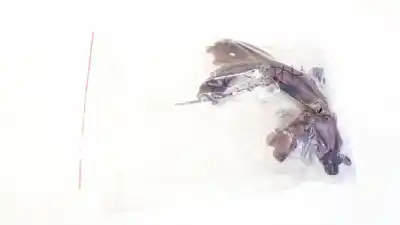 Peça sobressalente para automóvel em segunda mão peças diversas por jaguar xj coupé 5.3 referências oem iam 