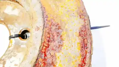 Автозапчастина б/у передній гальмовий диск для ford fiesta, vi 2012.10 - 2017.12 facelift 1.6 tdci 70kw 2010.02 - 2018.12 facelift посилання на oem iam   