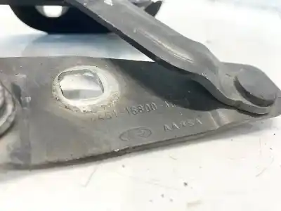 Автозапчастина б/у петля капота для ford fiesta (cb1) 1.6 16v ti-vct cat посилання на oem iam 8a6116800adrh  aa8sa