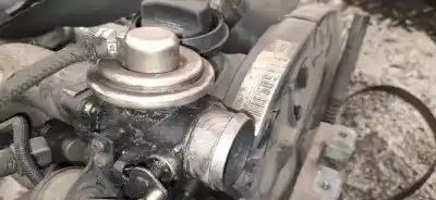 Автозапчасти б/у клапан рог за audi a3 (8l) 1.9 tdi ссылки oem iam 038131501e  