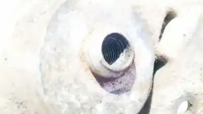 Pezzo di ricambio per auto di seconda mano plastica per ford taurus (p5_) 3.0 24v riferimenti oem iam   