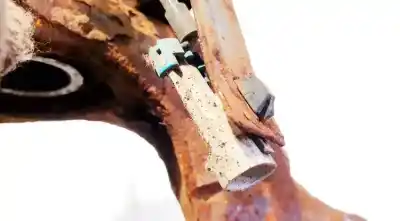 Peça sobressalente para automóvel em segunda mão sensor abs por chevrolet captiva 2.4 cat referências oem iam   