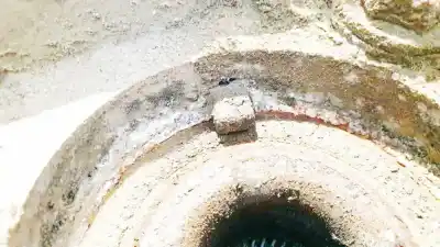 Peça sobressalente para automóvel em segunda mão sensor abs por bmw 3 (e30) m3 2.3 referências oem iam   