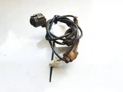 Peça sobressalente para automóvel em segunda mão fio por skoda octavia ii combi (1z5) 1.6 tdi 4x4 referências oem iam 