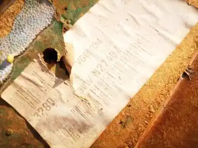 Peça sobressalente para automóvel em segunda mão forra / revestimento da porta dianteira esquerda por ford galaxy (vx) 1.9 tdi cat referências oem iam 95vwn27407  