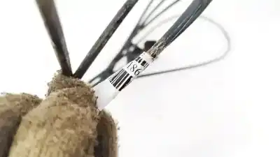 Автозапчастина б/у вимикач для honda cr-v (rd8) 2.0 vtec cat посилання на oem iam    Автозапчастина б/у вимикач для honda cr-v (rd8) 2.0 vtec cat посилання на oem iam