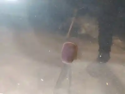 Автозапчасти б/у пластик за nissan bluebird hatchback (t72, t12) 1.6 ссылки oem iam 