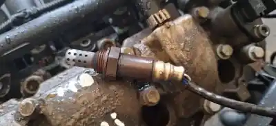 Peça sobressalente para automóvel em segunda mão sonda lambda por ford taurus (p5_) 3.0 24v referências oem iam   
