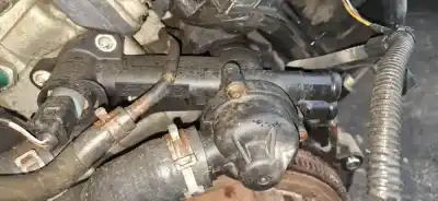 Peça sobressalente para automóvel em segunda mão termostato por ford taurus (p5_) 3.0 24v referências oem iam   