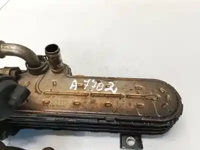 Pezzo di ricambio per auto di seconda mano raffreddatore egr per chrysler sebring (js) 2.0 crd riferimenti oem iam 03g131513k