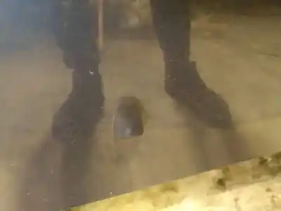 Second-hand car spare part plastics for audi coupe b2 (81, 855, 856) 2.3 quattro oem iam references 