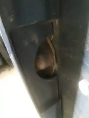 Pezzo di ricambio per auto di seconda mano pilota di registrazione per toyota auris (_e15_) 2.0 d-4d (ade150_) riferimenti oem iam   