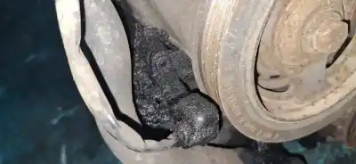 Peça sobressalente para automóvel em segunda mão sensor do virabrequim por saab 900 i (ac4, am4) 2.0 i referências oem iam   