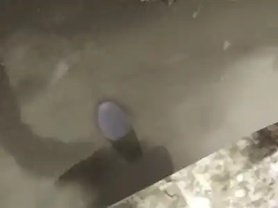 Peça sobressalente para automóvel em segunda mão plásticos por audi coupe b2 (81, 855, 856) 2.3 quattro referências oem iam 