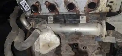 Pezzo di ricambio per auto di seconda mano raffreddatore egr per ford taurus (p5_) 3.0 24v riferimenti oem iam 03l131512b  