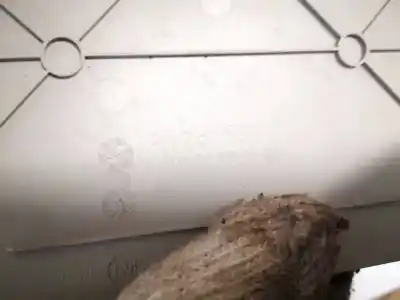 Pezzo di ricambio per auto di seconda mano plastica per bmw 3 (e30) m3 2.3 riferimenti oem iam 13221338  