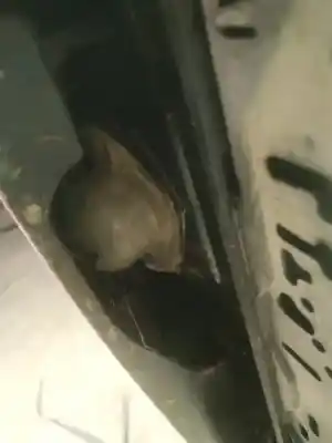 Second-hand car spare part licence plate light for honda jazz ii (gd_, ge3, ge2) 1.4 idsi (ge3, gd1) oem iam references 