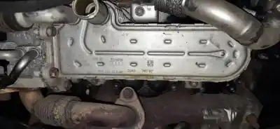 Pezzo di ricambio per auto di seconda mano raffreddatore egr per ford taurus (p5_) 3.0 24v riferimenti oem iam 038131513ad