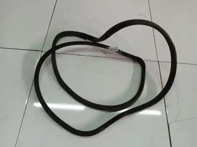 Peça sobressalente para automóvel em segunda mão junta vedante da porta por audi coupe b2 (81, 855, 856) 2.3 quattro referências oem iam 