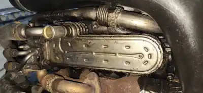 Peça sobressalente para automóvel em segunda mão radiador de gases de escape (egr) por ford taurus (p5_) 3.0 24v referências oem iam 038131513ad