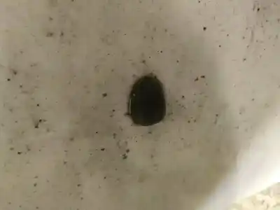 Peça sobressalente para automóvel em segunda mão plásticos por citroen c4 i (lc_) 1.6 hdi referências oem iam   