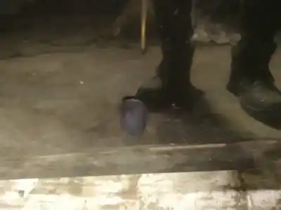 Second-hand car spare part plastics for toyota corolla verso (zer_, zze12_, r1_) 2.0 d-4d (cur10_) oem iam references 