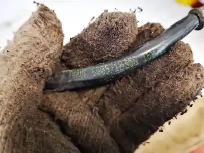 Second-hand car spare part wire for ford taurus (p5_) 3.0 24v oem iam references 6q09712350  