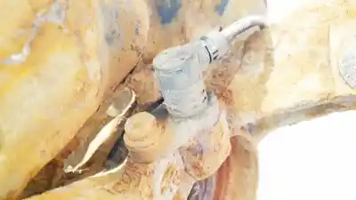 Peça sobressalente para automóvel em segunda mão sensor abs por toyota corolla verso (_e12_) 2.0 d-4d (cde120_) referências oem iam 