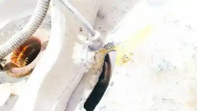 Tweedehands auto-onderdeel abs-sensor voor bmw 3 (e30) m3 2.3 oem iam-referenties 