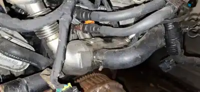 Pezzo di ricambio per auto di seconda mano raffreddatore egr per kia cee'd fastback (ed) 1.6 crdi 115 riferimenti oem iam   