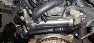 Pezzo di ricambio per auto di seconda mano raffreddatore egr per kia cee'd fastback (ed) 1.6 crdi 115 riferimenti oem iam   