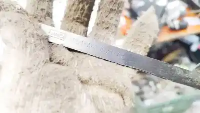 Pezzo di ricambio per auto di seconda mano plastica per ford focus iii 1.6 tdci riferimenti oem iam bm51a6c1b28ae  bm51-a6c1b28-ae