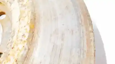 Автозапчасти б/у передний тормозной диск за bmw 3 (e30) m3 2.3 ссылки oem iam   