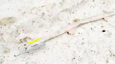 Автозапчастина б/у передня права подушка безпеки для audi a4 b6 (8e2) 2.5 tdi quattro посилання на oem iam 8e9880742