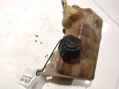 Piesă de schimb auto la mâna a doua Vas De Expansiune pentru RENAULT SCÉNIC II (JM0/1_) 1.9 DCI (JM0G, JM12, JM1G, JM2C) Referințe OEM IAM   