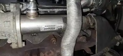 Peça sobressalente para automóvel em segunda mão radiador de gases de escape (egr) por volvo v50 (545) 2.0 d referências oem iam 9645689780