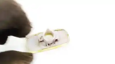 Автозапчасти б/у правая боковая фонарь за audi a6 avant (4b5) 2.5 tdi ссылки oem iam 4b0949127  