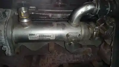 Pezzo di ricambio per auto di seconda mano raffreddatore egr per ford focus c-max (dm2) 2.0 tdci riferimenti oem iam 9645689780  