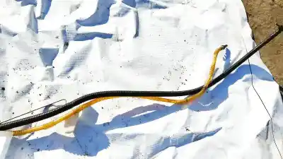 Автозапчастина б/у індикатор для porsche cayenne (9pa) s 4.5 посилання на oem iam   