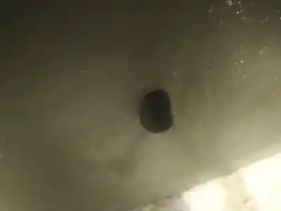 Peça sobressalente para automóvel em segunda mão  por MAZDA 5 (CR19)  Referências OEM IAM   