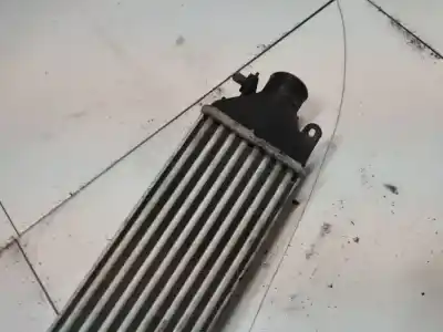 Pezzo di ricambio per auto di seconda mano intercooler per fiat doblo cargo (263_) 2.0 d multijet riferimenti oem iam   