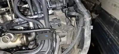 Second-hand car spare part injection pump for nissan bluebird hatchback (t72, t12) 1.6 oem iam references 0445010102  