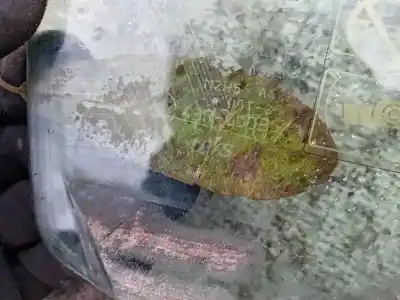 Автозапчасти б/у передняя правая луна за lexus rx (mcu15) 300 awd (mcu15) ссылки oem iam as2  43r-00035