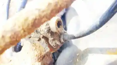 Peça sobressalente para automóvel em segunda mão sensor abs por bmw 1502-2002 (e10) 1802 referências oem iam 