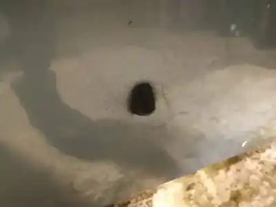 Pezzo di ricambio per auto di seconda mano plastica per honda fr-v (be) 1.7 (be1) riferimenti oem iam   