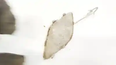 Peça sobressalente para automóvel em segunda mão molduras frontais por bmw 3 (e30) m3 2.3 referências oem iam   