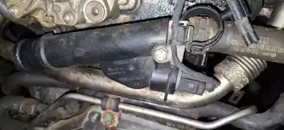 Pezzo di ricambio per auto di seconda mano termostato per audi a3 (8p1) 2.0 tdi riferimenti oem iam 038121132g