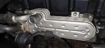 Pezzo di ricambio per auto di seconda mano raffreddatore egr per audi a3 (8p1) 2.0 tdi riferimenti oem iam 03g131513j
