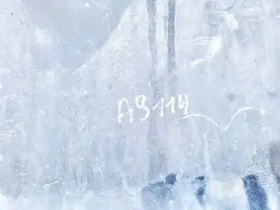 Pezzo di ricambio per auto di seconda mano plastica per ford galaxy (vx) 1.9 tdi cat riferimenti oem iam   