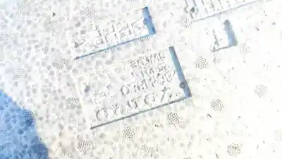 Pezzo di ricambio per auto di seconda mano plastica per volvo v50 (545) 1.6 d riferimenti oem iam 8641820  